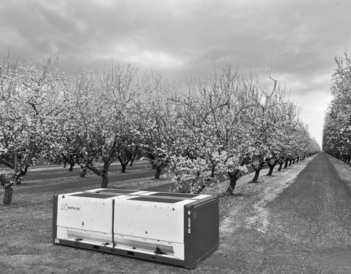 Startup to Success: How Beewise is Using AI to Save the Bees